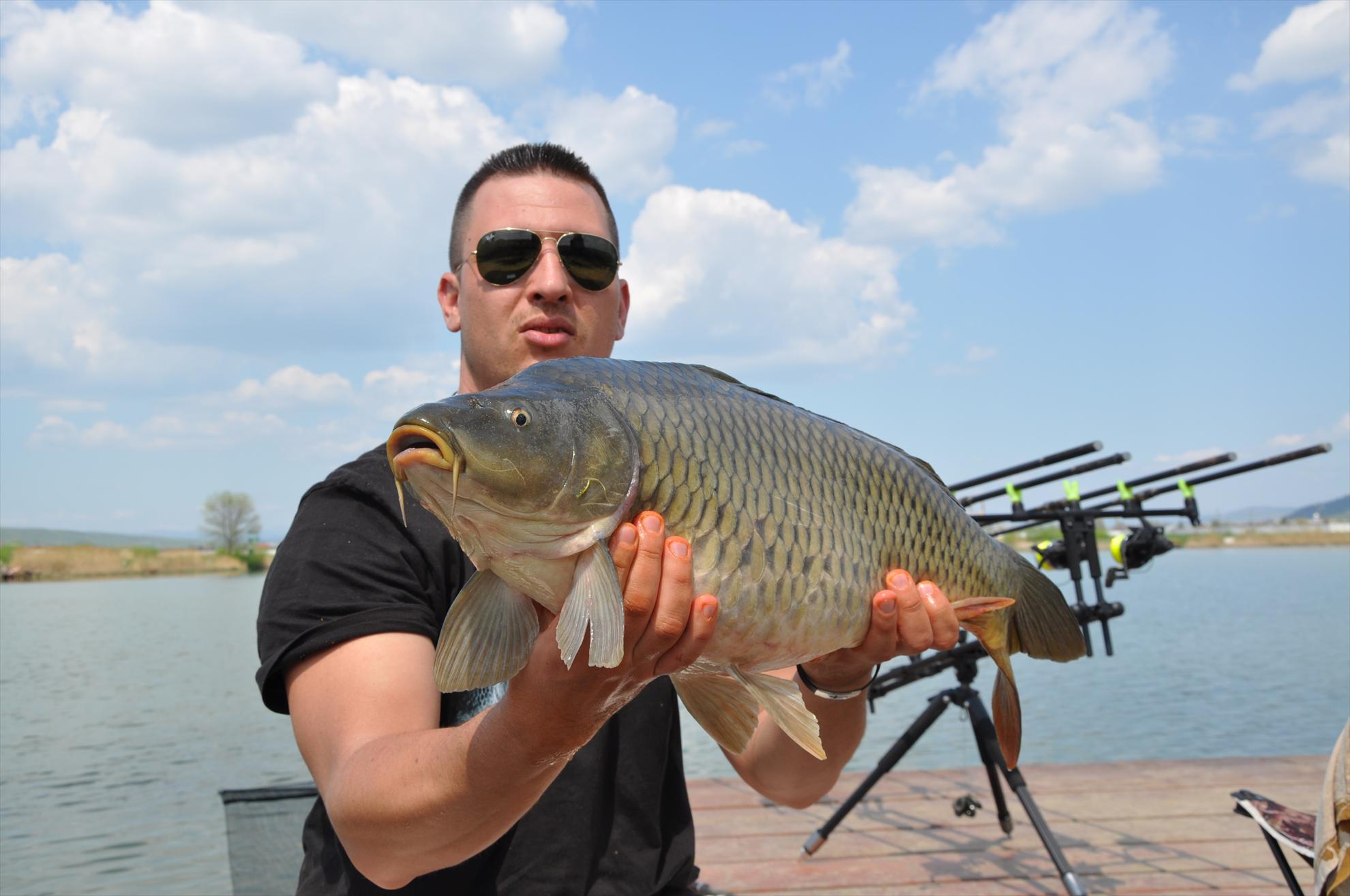 GALERIE FOTO TROFEUL USAMV - PLEASA 2 - dsc0499.JPG